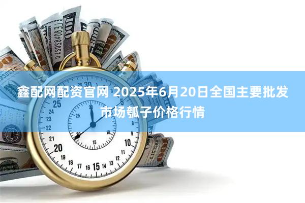 鑫配网配资官网 2025年6月20日全国主要批发市场瓠子价格行情