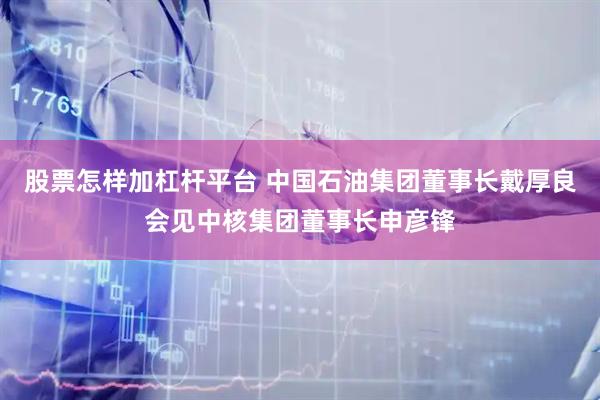 股票怎样加杠杆平台 中国石油集团董事长戴厚良会见中核集团董事长申彦锋