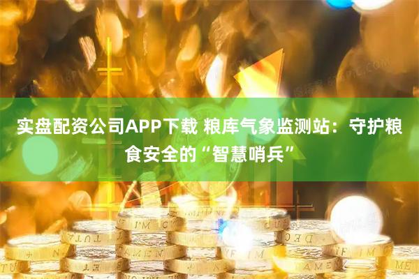 实盘配资公司APP下载 粮库气象监测站：守护粮食安全的“智慧哨兵”