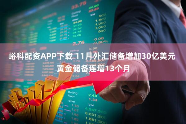 峪科配资APP下载 11月外汇储备增加30亿美元 黄金储备连增13个月