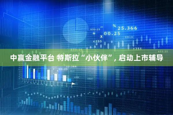 中赢金融平台 特斯拉“小伙伴”, 启动上市辅导