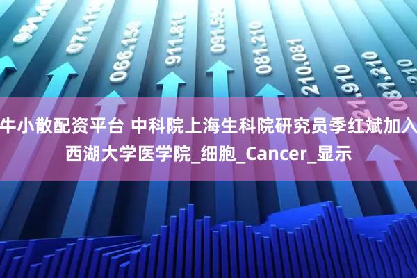 牛小散配资平台 中科院上海生科院研究员季红斌加入西湖大学医学院_细胞_Cancer_显示