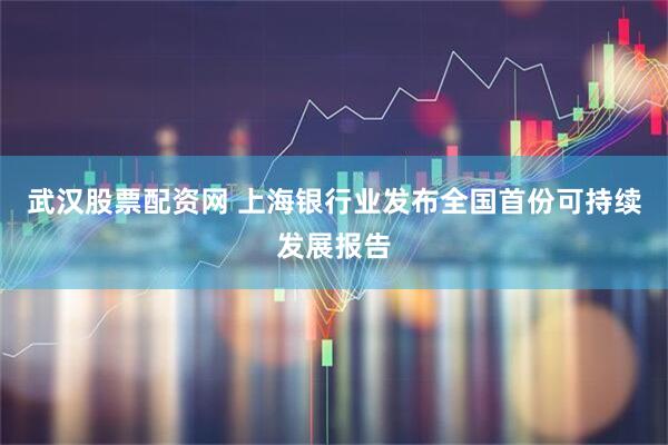 武汉股票配资网 上海银行业发布全国首份可持续发展报告
